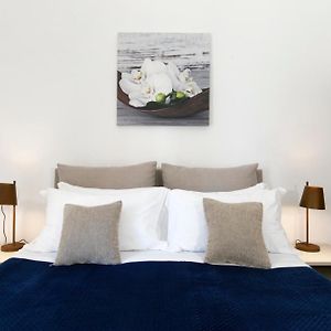 Yourhome - Jolly Aranci