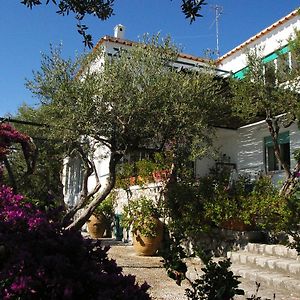 Il Rifugio B&B Capri